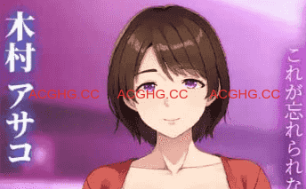 【ADV/AI汉化/CV】与岳母的秘密——去拜访未婚妻家时，发现她竟是前几天叫过的应召小姐…【PC/533M】